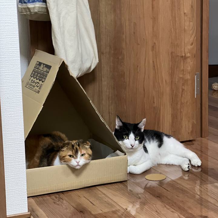 5a9b2c36 9346 40d2 8ddd c6c3a2ddc0c1 1688392459441