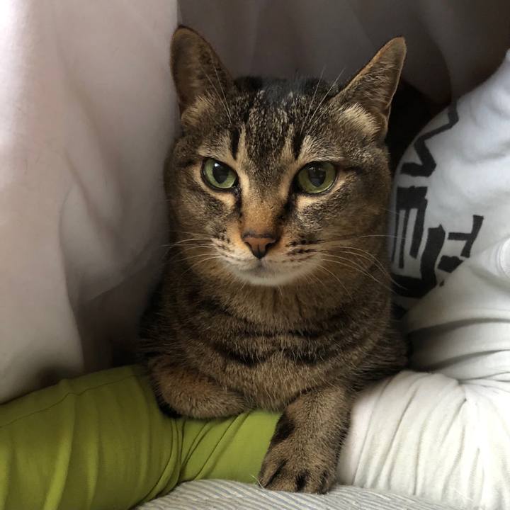 5a9b413d 9fd2 4797 a95e 94e2a4439888 1622336162342