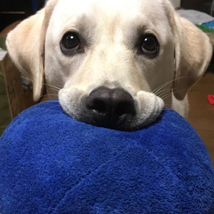 5a9b82d5 f799 415b b2d4 d27d111efe83 1579352500778