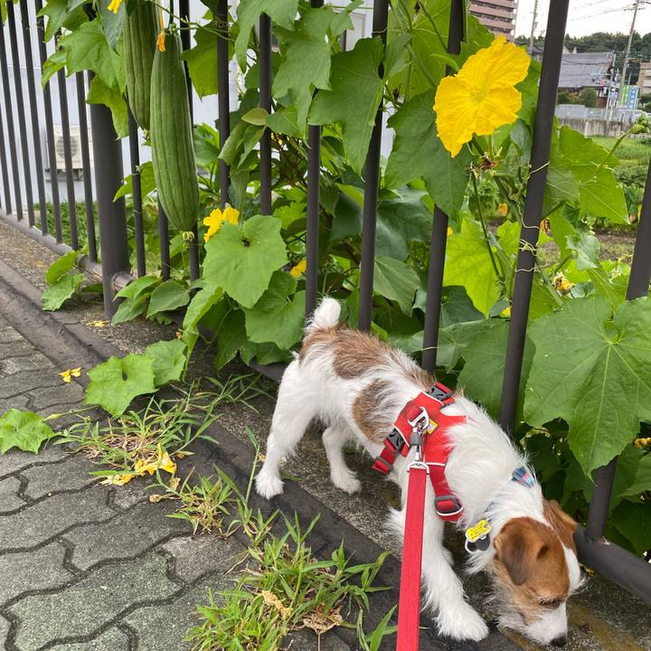 5a9b9801 3866 433c bad1 c0fbf4bf5abd 1660954570001