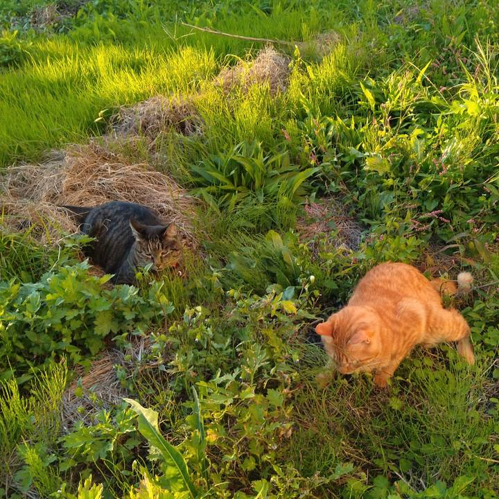 5a9ba650 e1a7 47ab abae 089a97baef03 1664610820358