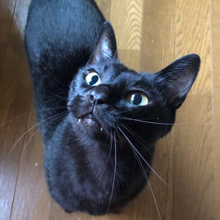 5a9baa26 dab0 4596 b849 0408bc0df2ea 1723858551178