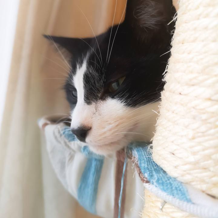 5a9bb854 7024 4e26 812c 100222cb3a81 1544069851366