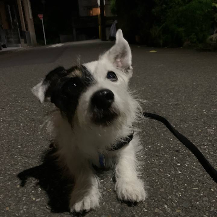 5a9bda2f ff69 4237 82e2 f3a5fb964834 1726919950267