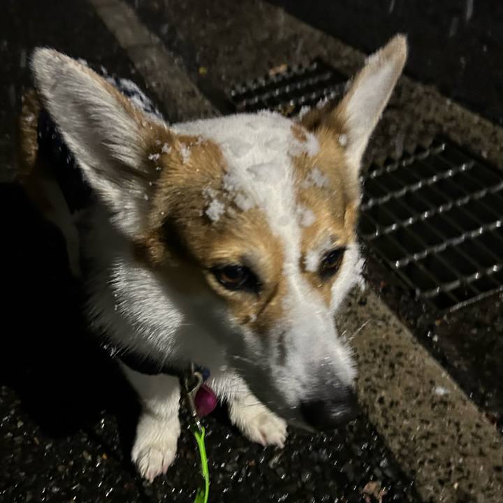 5a9c040b df20 47ad a041 b80a30857d13 1764753206361