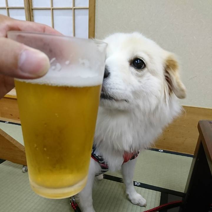 5a9c3eba 20ea 46c4 bbaa 8dc64e183af7 1509009652984