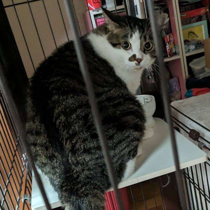 5a9c6fbd 16f6 47b2 881d 1609121bd942 1718544093873