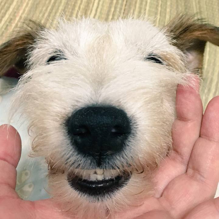 5a9c943f 740f 4f51 b6cc 950a07f7054e 1532142146838