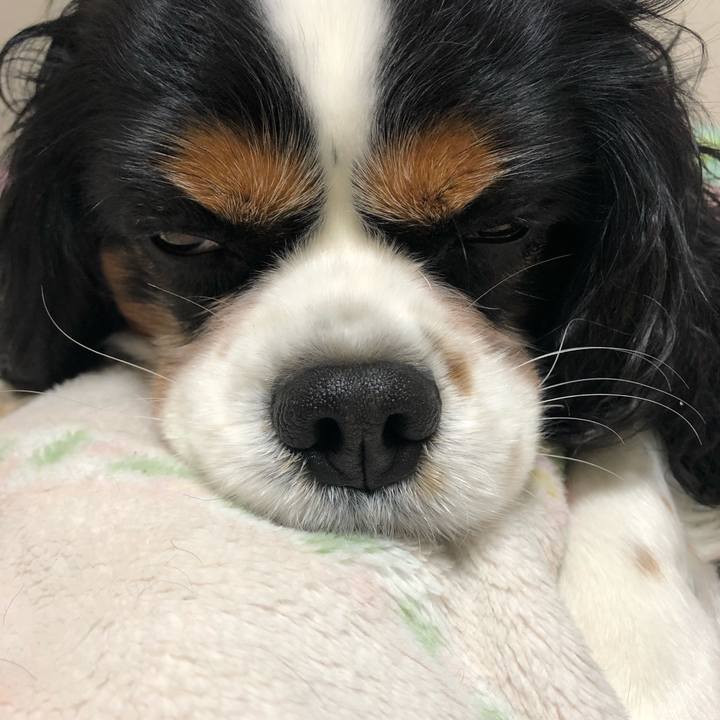 5a9d1892 daba 4d4b 8602 8a66efc2c2ab 1545394545402