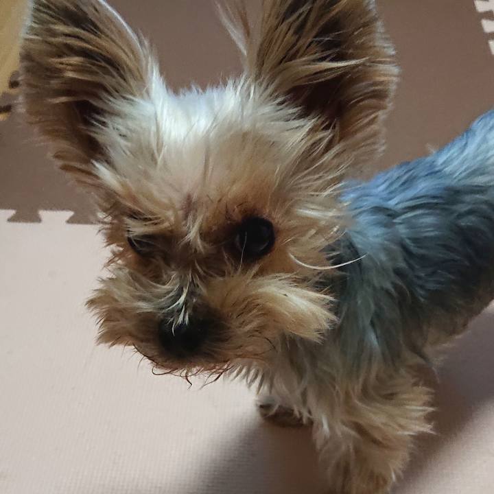 5a9d1f2d 7913 4b86 b6b4 86fe410479ab 1575696376815