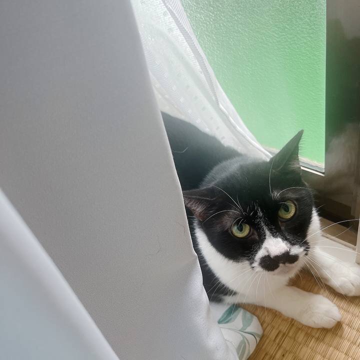 5a9d2730 22db 4800 aae8 871b37e2a522 1658871401394