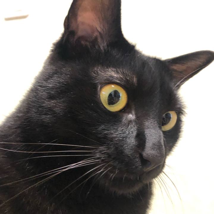 5a9d4053 bc2f 47e8 87e6 80a6f3f3e86d 1563496708679