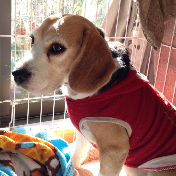 5a9d4e67 9def 4baf a7cd 15a4b76a6acc 1735247922216