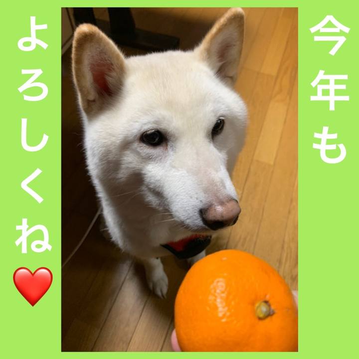 5a9d66c9 9a92 42e1 b05c cd049162d8c3 1609591168956