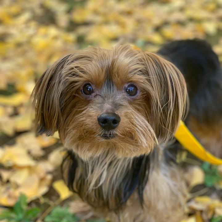 5a9d8815 905d 4c69 9cda 499112f01de2 1543712502763