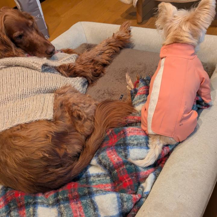 5a9da668 3aa3 4da4 bdb8 60aeb116c618 1768643666376