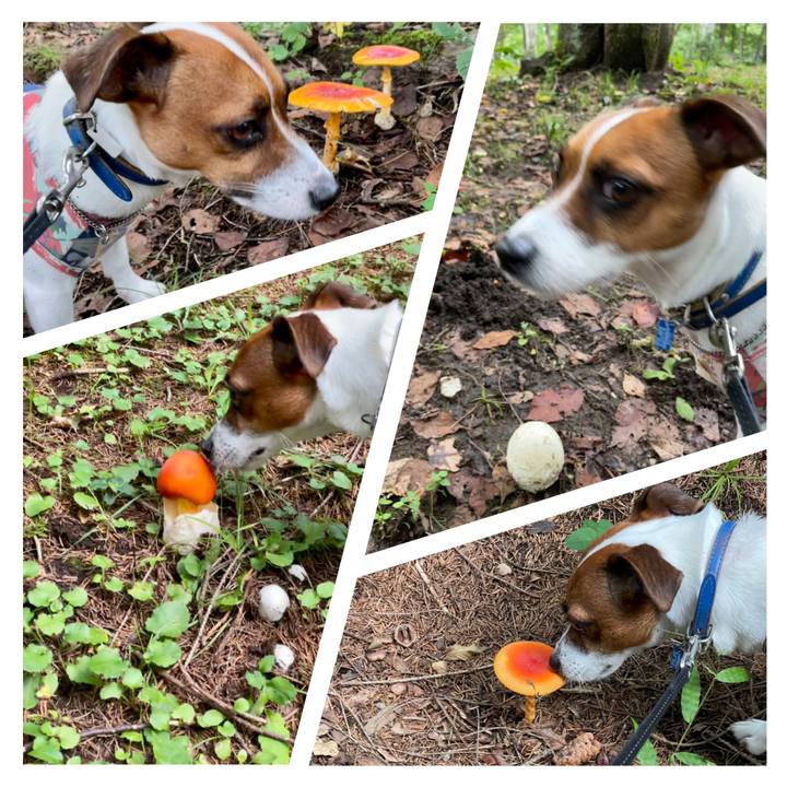 5a9dd104 e88c 460d affa 7e9451f6b07f 1630835779307