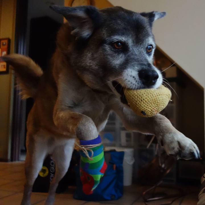 5a9df8e0 ac72 4166 a128 a9dbc57a1ab4 1550366253296