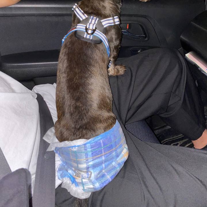 5a9e241a 08c8 469f 94ae c4a6c3cd32b0 1591282315186