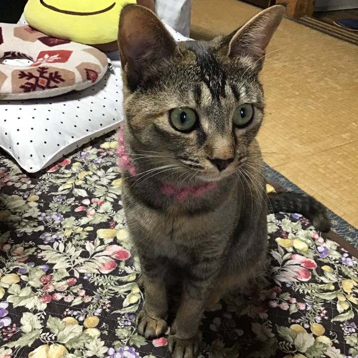 5a9e340e 5db6 4ef4 93e1 ebdd5c130194 1594975293184