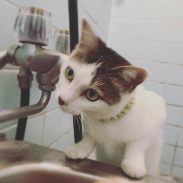 5a9e3950 57f3 4322 b196 09c67f70c779 1603556746386