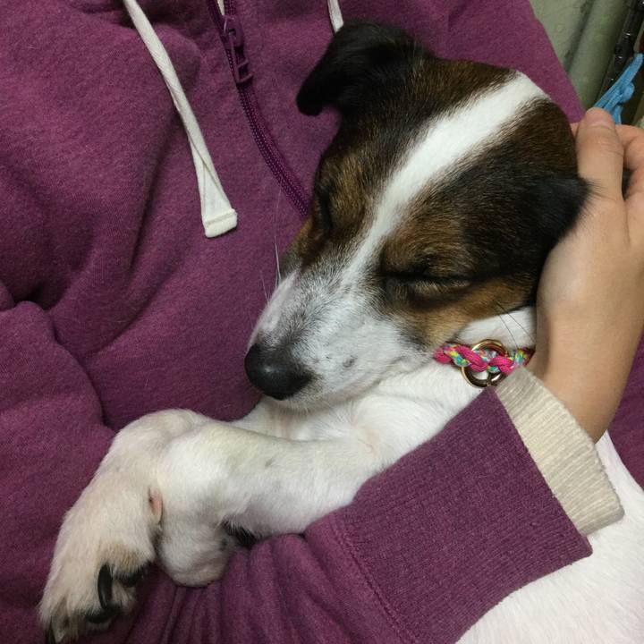 5a9e8e64 337f 4df6 8ed8 68328592d1a1 1511695798098