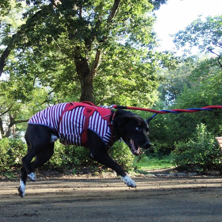 5a9eac23 b2bb 445e 972b b959965068e9 1599608357628