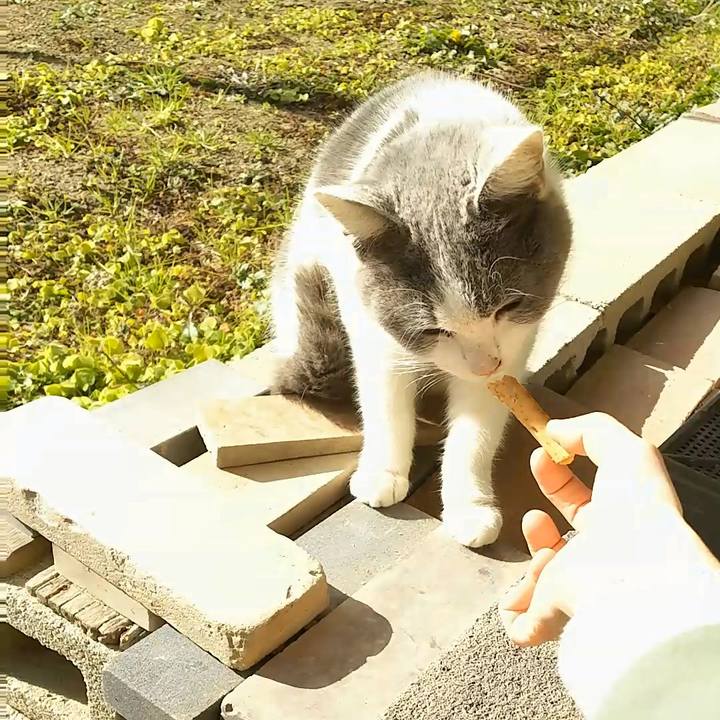 5a9eb8d1 3de0 4e16 8ec8 9c7f111192a1 1515558314618