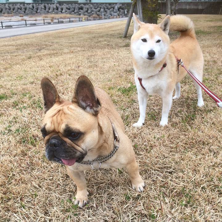 5a9eedd7 a6ef 4e51 9cad 50e85674b252 1515320329581