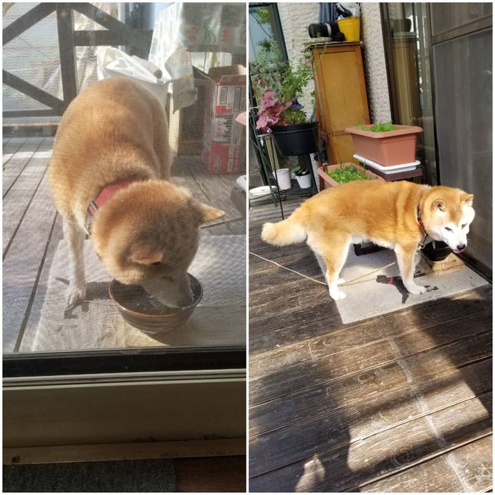 5a9f0459 2082 400e 8a51 a23c3e59326b 1745882184461