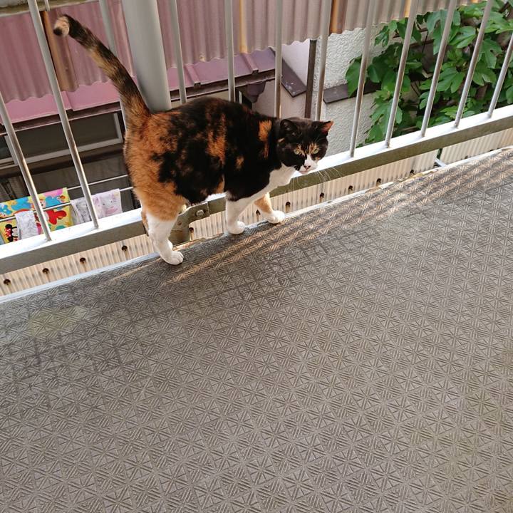 5a9f0a53 bd9b 4d91 b98f e3acbf7aab9a 1587942871101