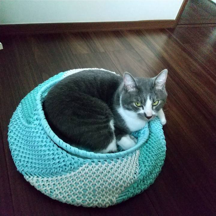 5a9f0dbc 975a 4efe a0e6 369cacb4059a 1623844756399