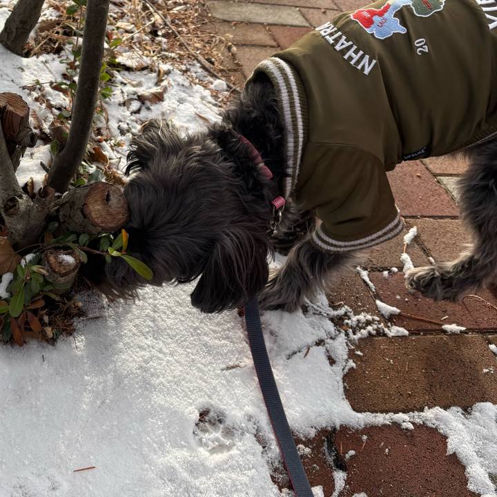 5a9f47eb 261e 409b 9751 09609d740b3c 1770536307935