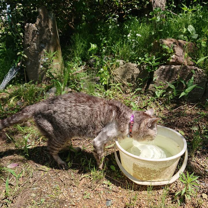 5a9f588b 64ec 4d47 a01d 4fa6b36cab06 1596254497681