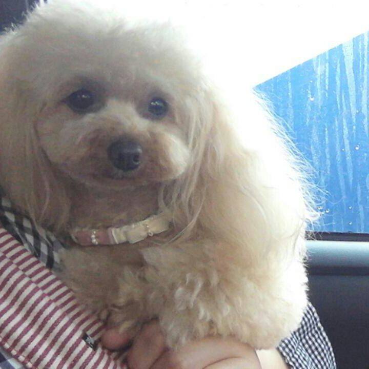 5a9fc710 0174 451f 86a7 e2189e5aac92 1524399413338