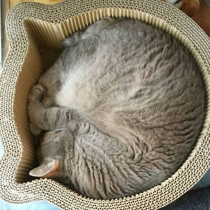 5a9fdaf8 67df 4167 8ab1 6327d19444ba 1590299316898