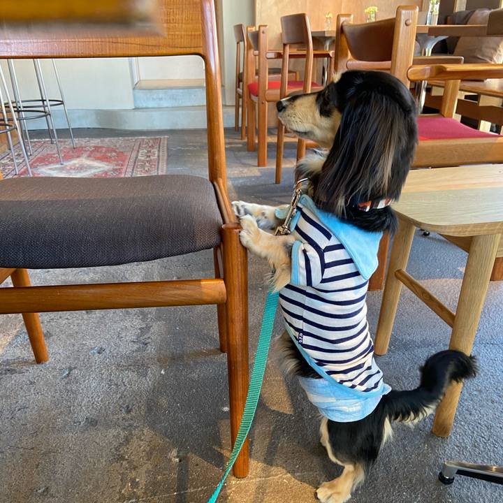 5aa02d68 2722 454f b4d1 42133e43367b 1712713287324