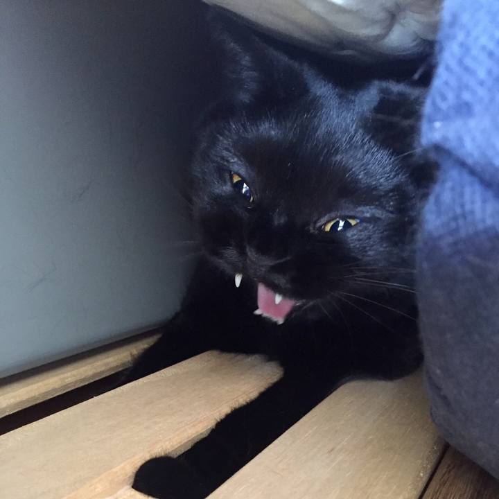 5aa035e7 560c 4a60 abd8 a2f850e37d93 1557793482116