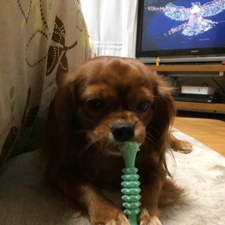 5aa051a6 8e82 46f1 abe6 f4ec9ce15b20 1518180499616