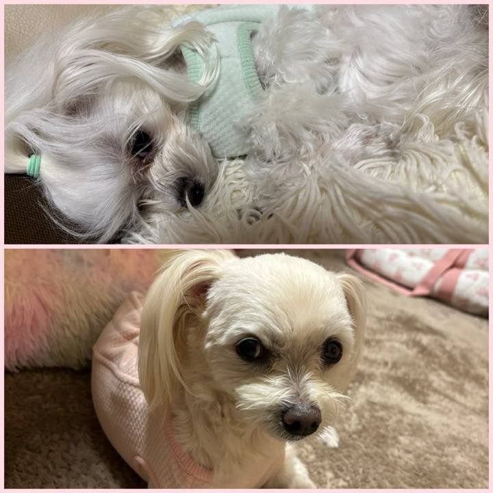 5aa05720 27ca 44e1 b2e3 989d1a9b3729 1771322296013