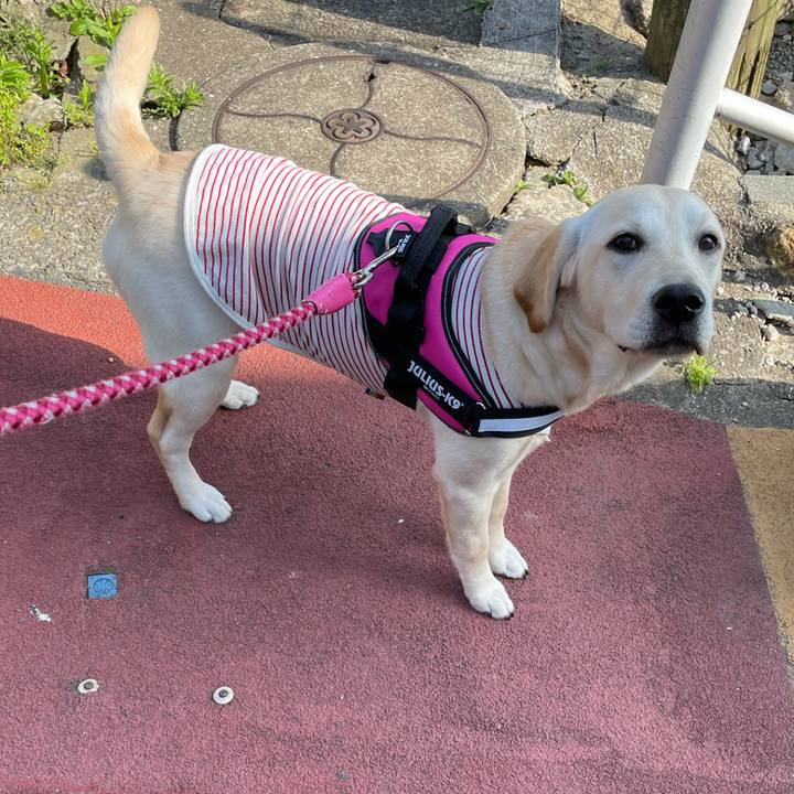 5aa057a7 bafb 4264 b696 e2ccda9992dd 1622500731501