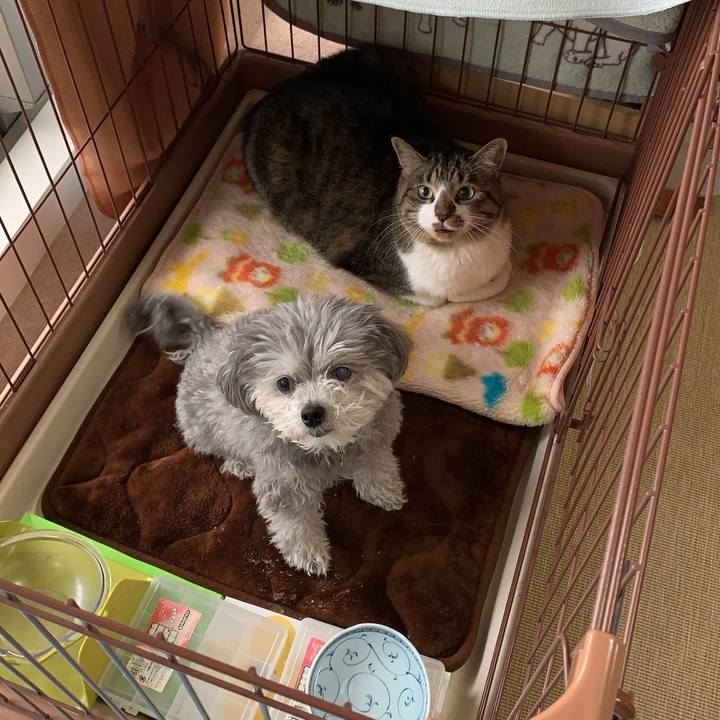 5aa09742 a812 4588 9c85 dce489809ff0 1621400609322