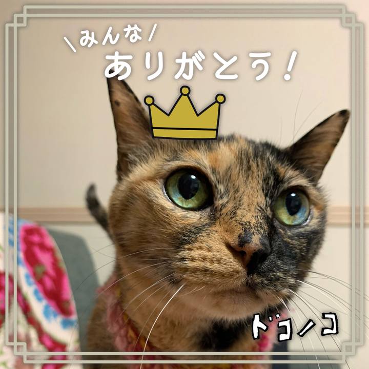 5aa0bd74 92d9 444f 81ce 99b5850aa964 1622855848864