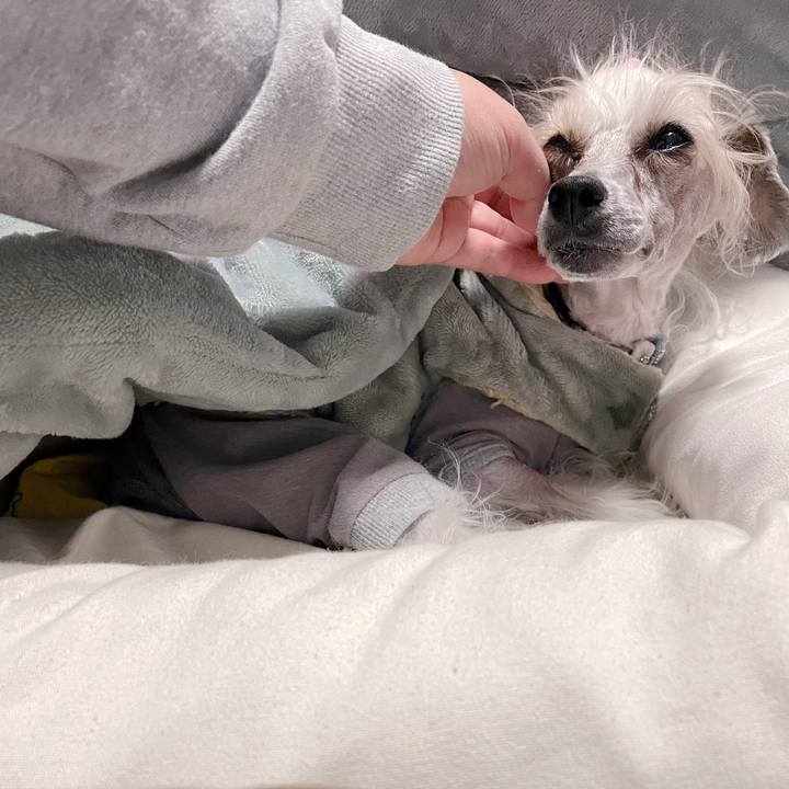 5aa0e66d 3e09 44a9 b262 264a034a343b 1773302577884