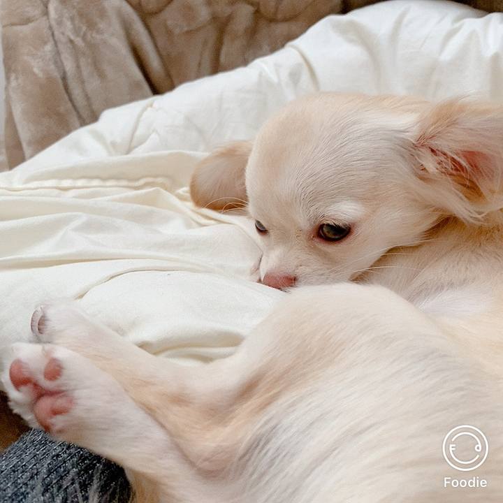 5aa17291 e7dd 4dfc 9d32 47ebd60da30c 1604540450655