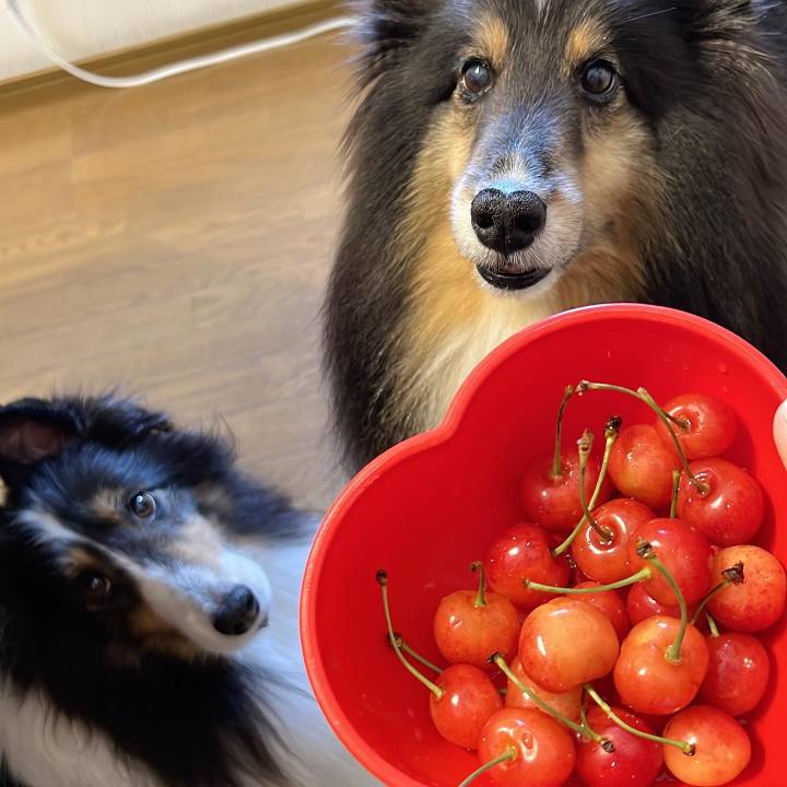 5aa1912d ca40 488a 9213 29593b7ee5d0 1657215787130