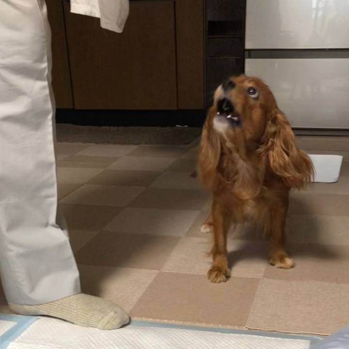 5aa1d651 0af0 4475 8b1a ee820e632d9b 1600208835942