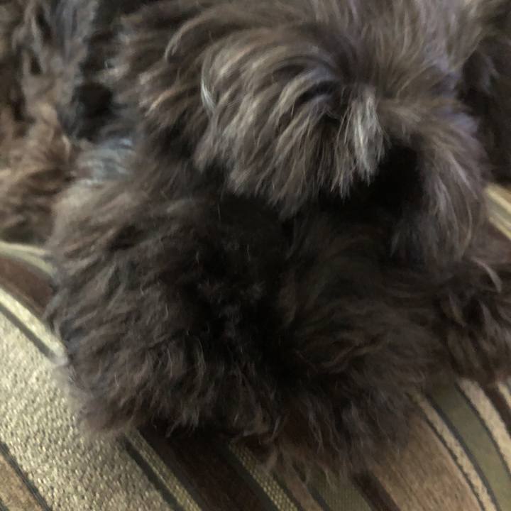 5aa1ec6a 9432 4390 bf73 036e66fdf771 1567747322551