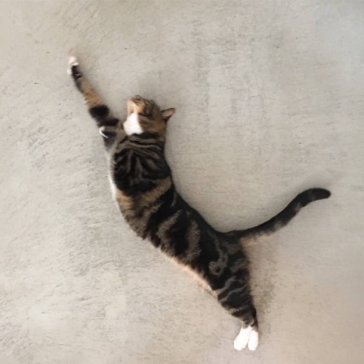 5aa21d9d 5d3f 418f bf81 29b62aeb4de9 1538438770048