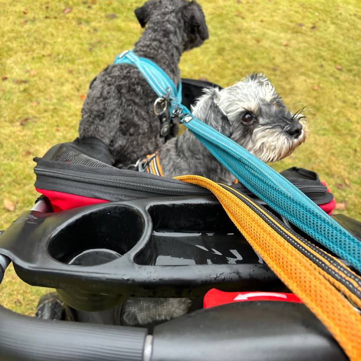 5aa24ec6 df9b 4c2f 8f0c 19c8102c8913 1699752898740